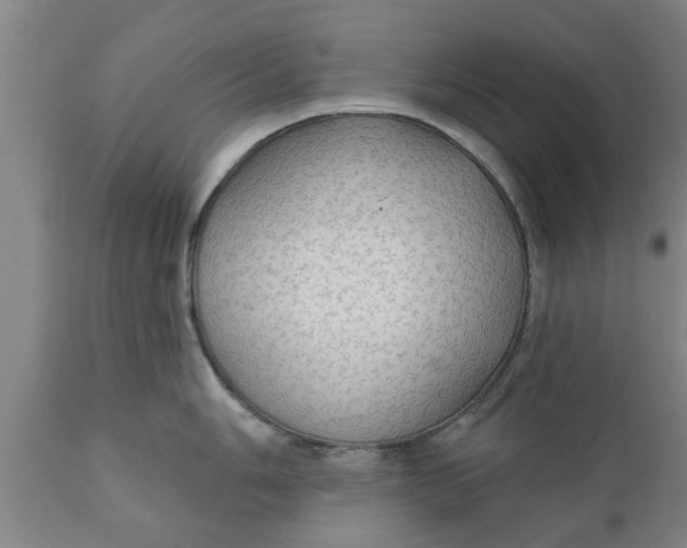 X0000111911006200908171257