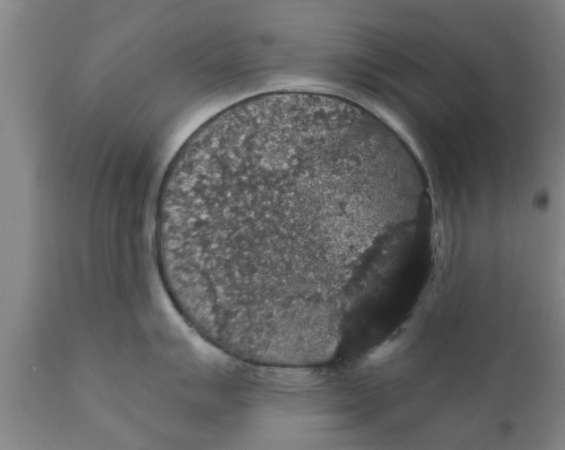 X0000111911007200908171257