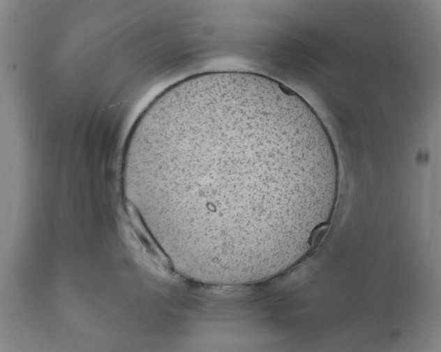 X0000111911008200908171257