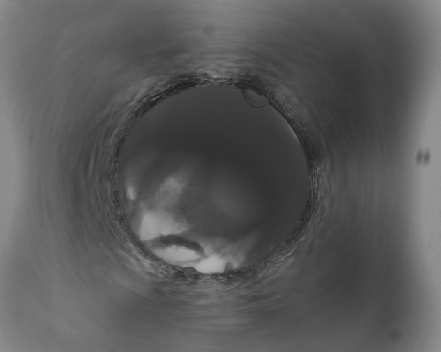 X0000111911009200908171257