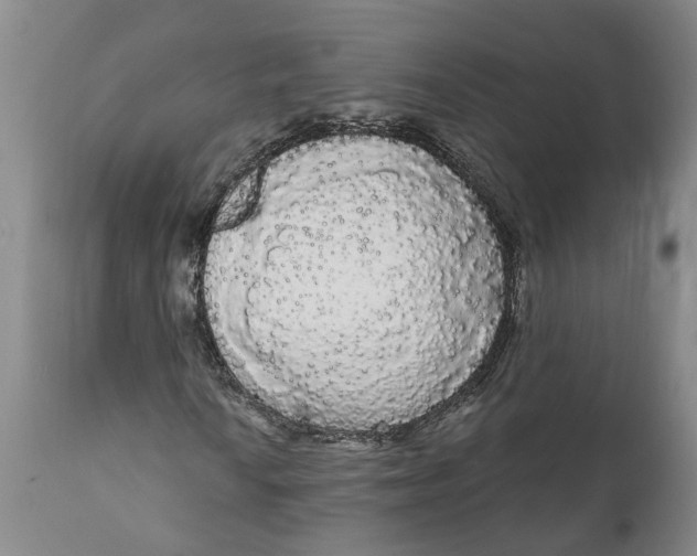 X0000111911010200908171257