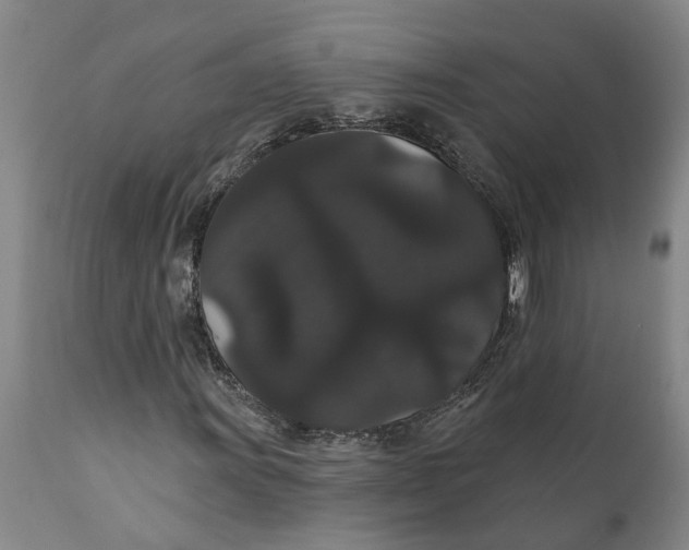 X0000111911011200908171257