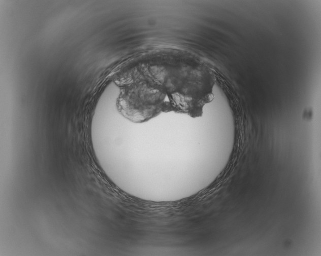 X0000111911013200908171257