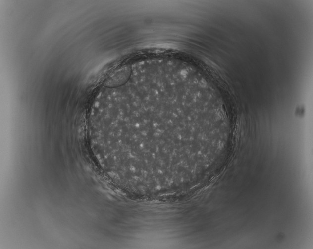 X0000111911014200908171257