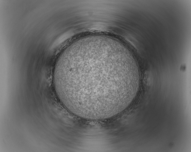 X0000111911015200908171257