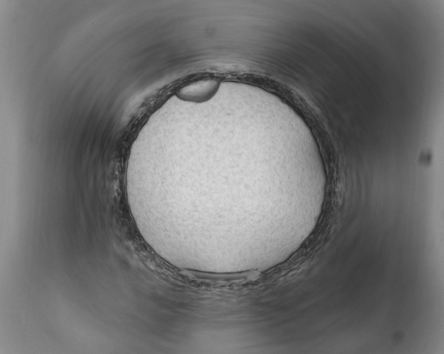 X0000111911016200908171257