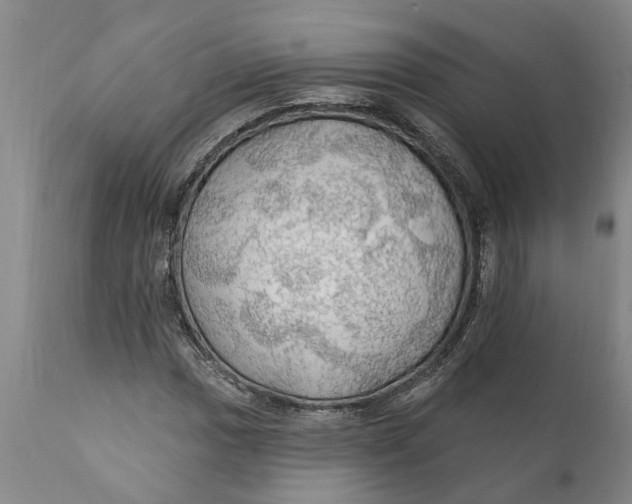 X0000111911017200908171257