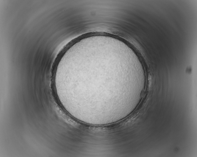 X0000111911020200908171257