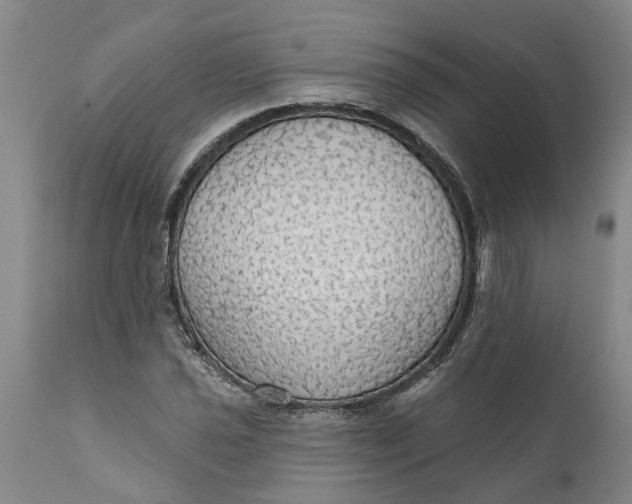 X0000111911021200908171257