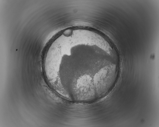 X0000111911022200908171257