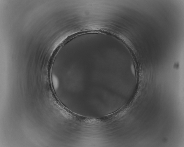 X0000111911023200908171257