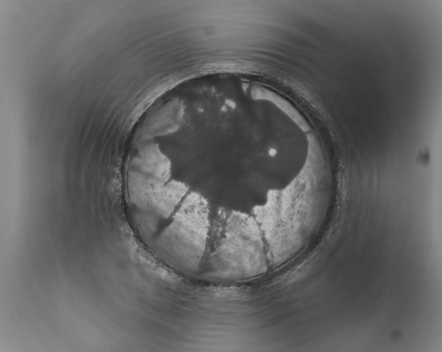 X0000111911025200908171257