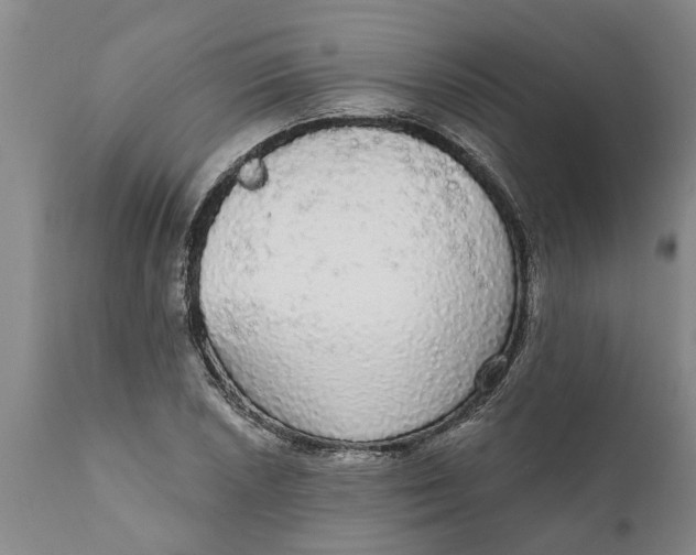 X0000111911026200908171257