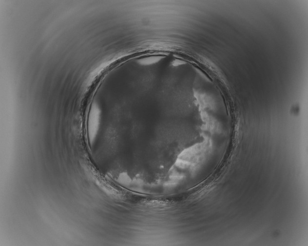 X0000111911027200908171257