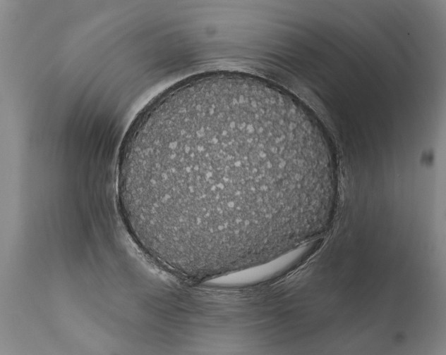 X0000111911028200908171257