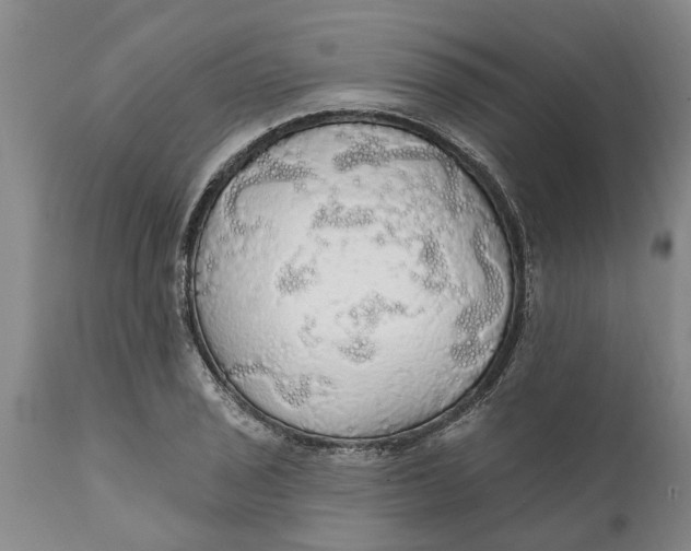 X0000111911029200908171257