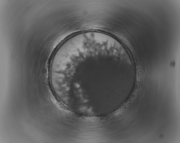 X0000111911031200908171257