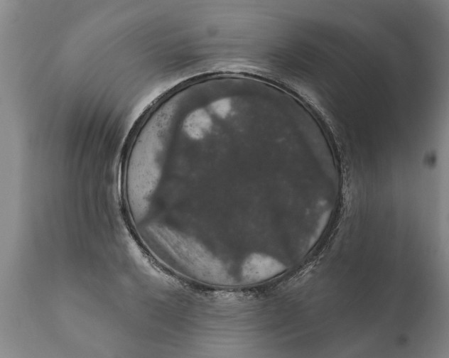 X0000111911032200908171257