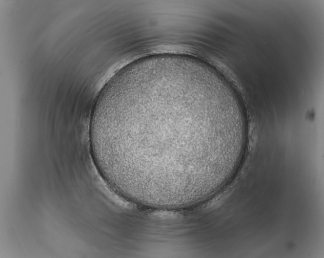 X0000111911033200908171257