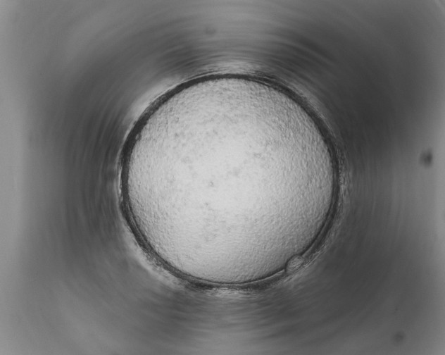 X0000111911034200908171257