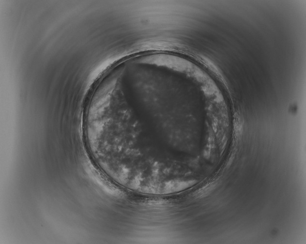 X0000111911035200908171257