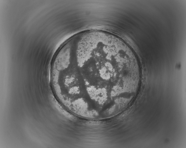 X0000111911036200908171257