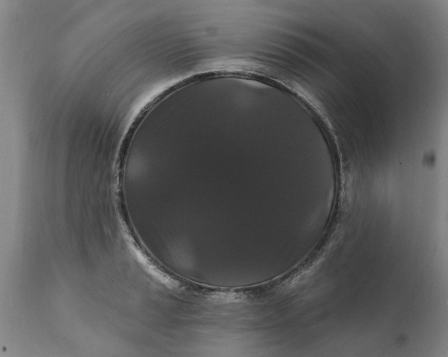 X0000111911037200908171257