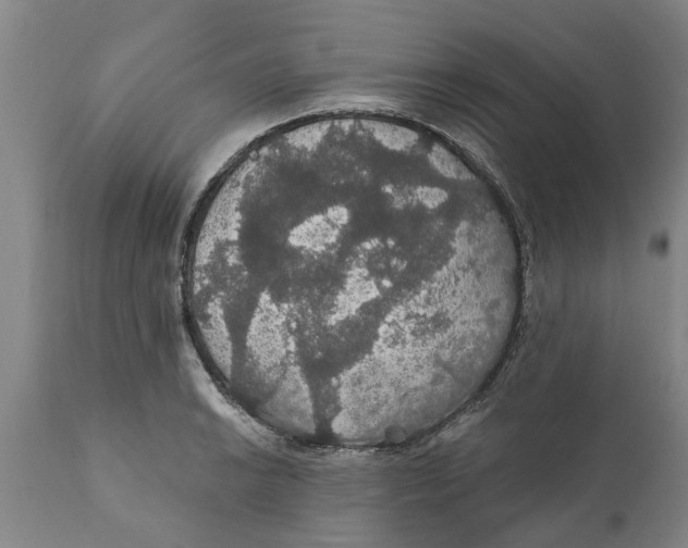 X0000111911038200908171257