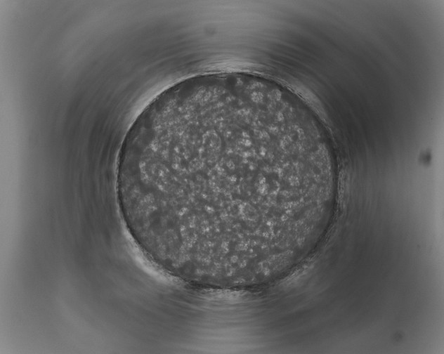 X0000111911039200908171257