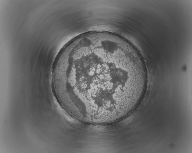 X0000111911040200908171257