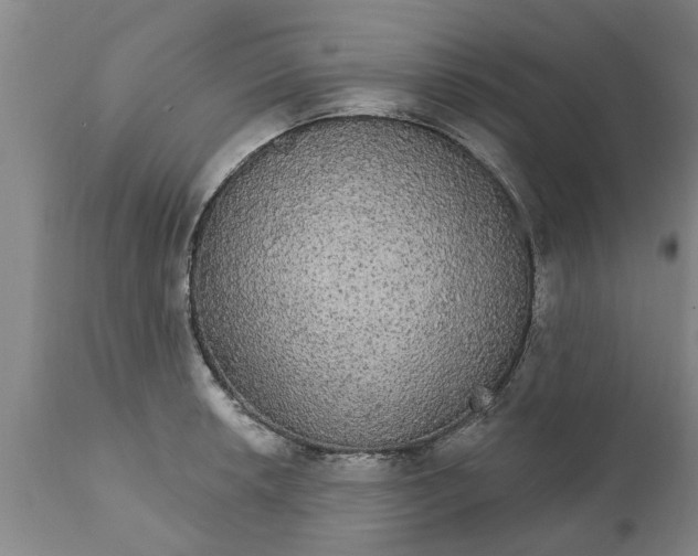 X0000111911042200908171257