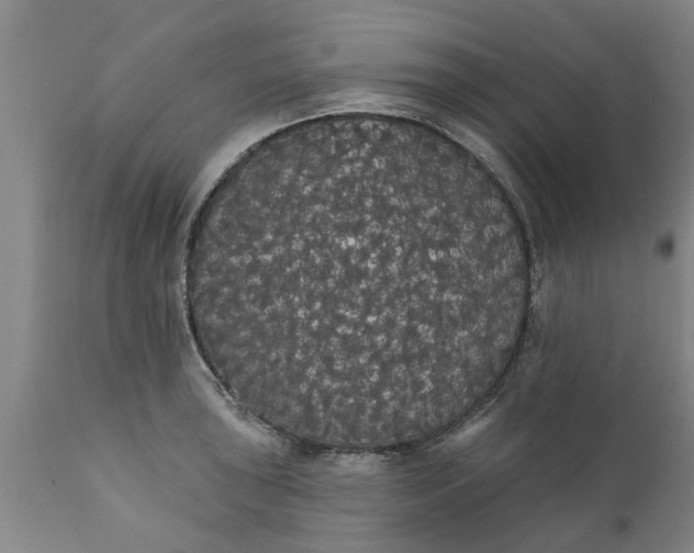 X0000111911043200908171257