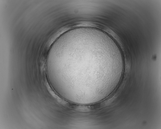 X0000111911049200908171257