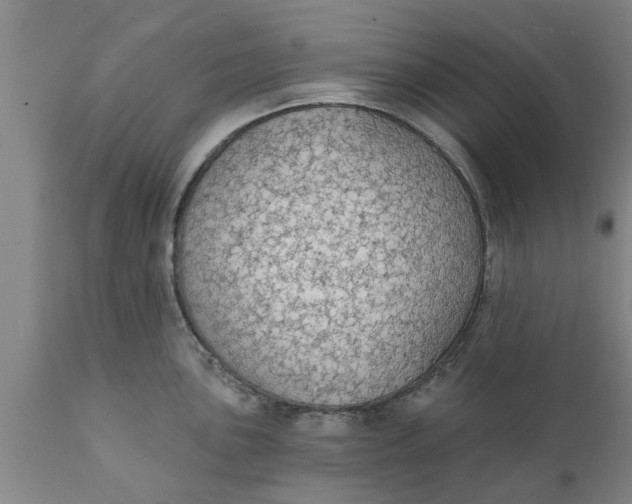 X0000111911051200908171257