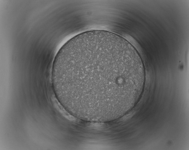 X0000111911052200908171257