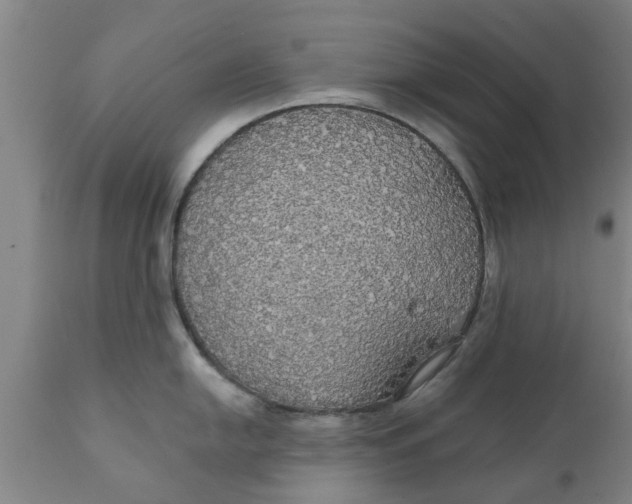 X0000111911054200908171257