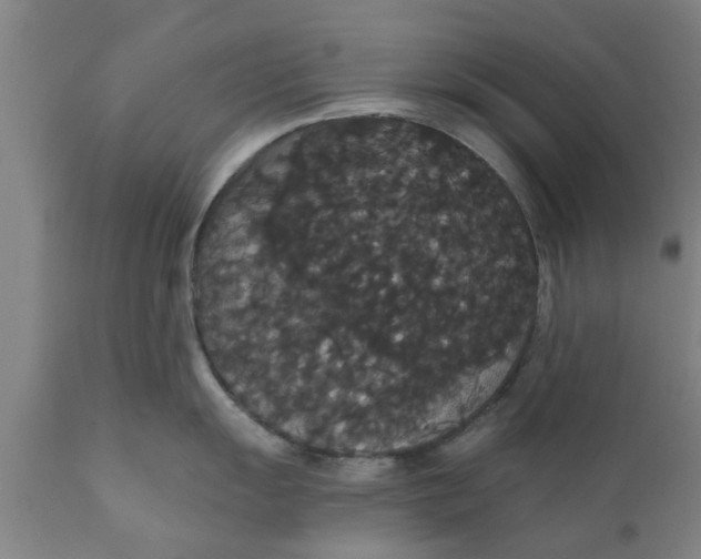 X0000111911055200908171257