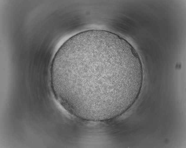 X0000111911056200908171257