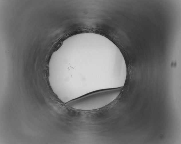 X0000111911057200908171257