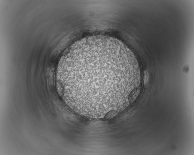 X0000111911059200908171257