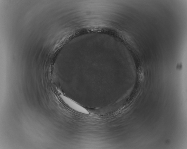 X0000111911060200908171257