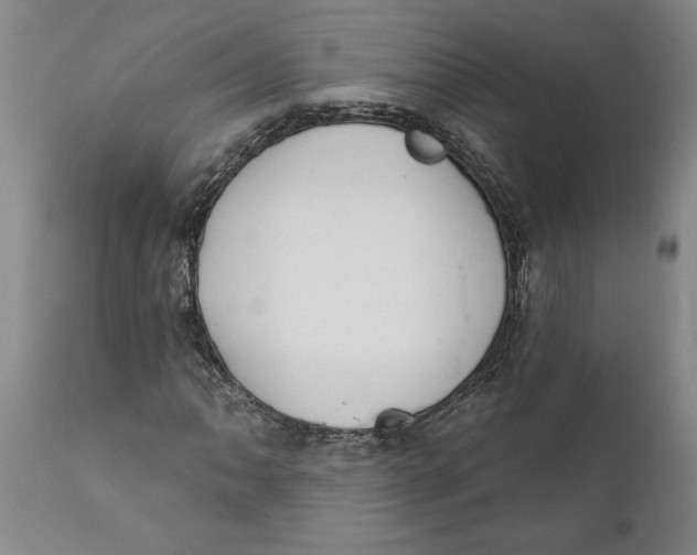 X0000111911062200908171257