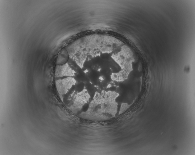 X0000111911063200908171257