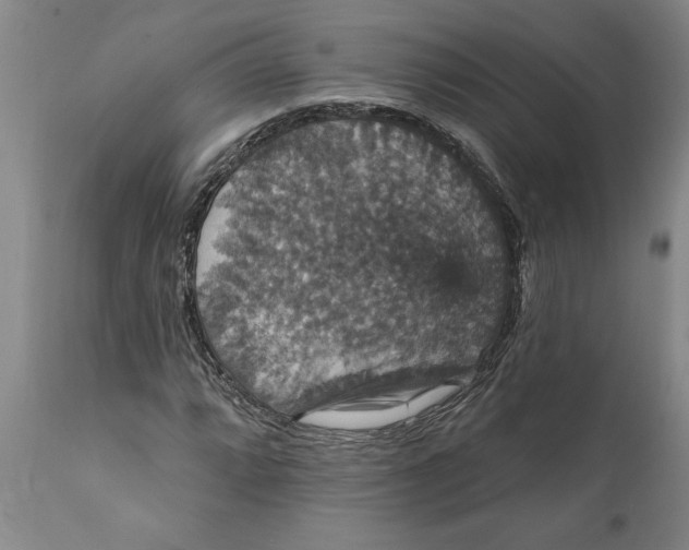 X0000111911064200908171257