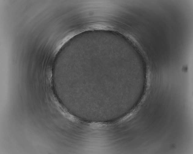 X0000111911065200908171257