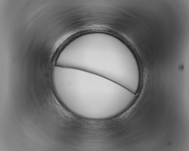 X0000111911066200908171257