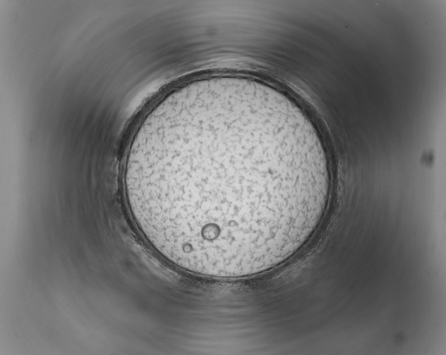 X0000111911067200908171257