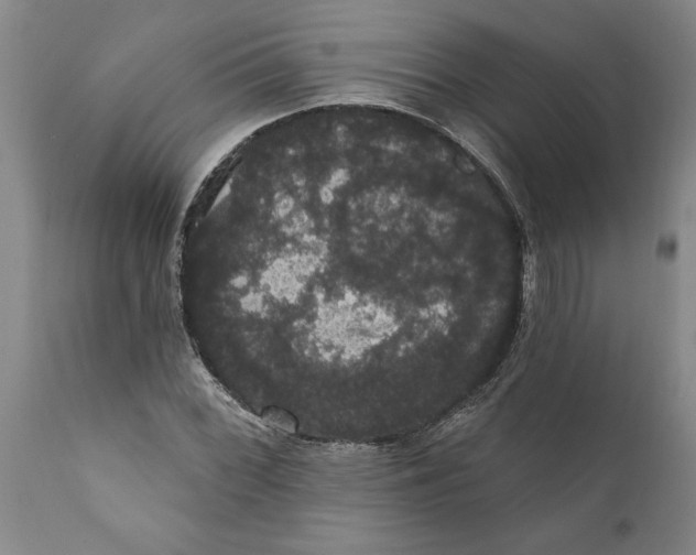 X0000111911068200908171257