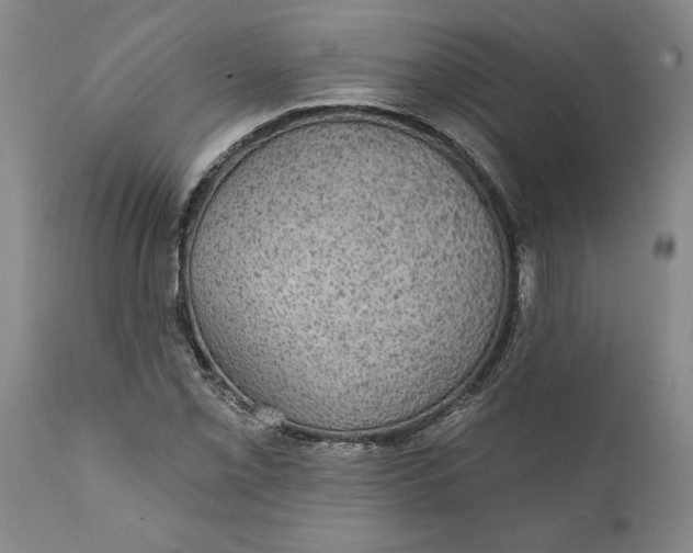 X0000111911069200908171257