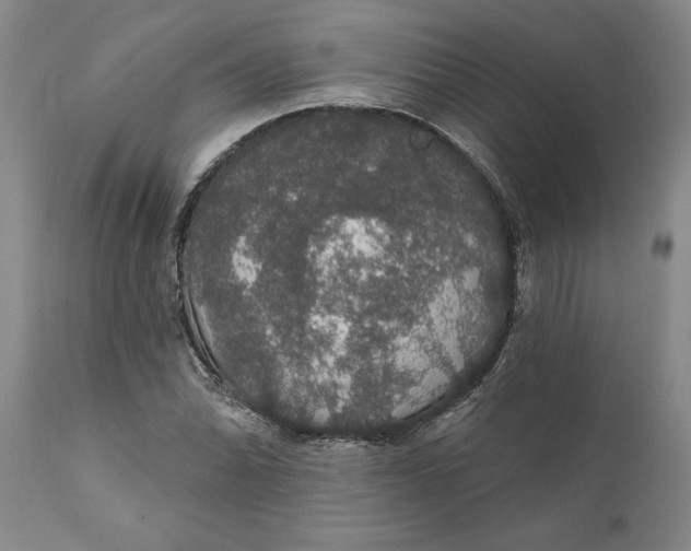 X0000111911070200908171257